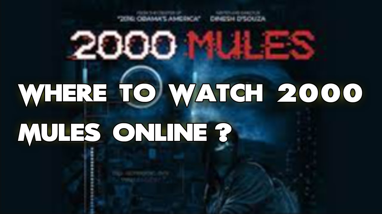 How to watch 2000 Mules