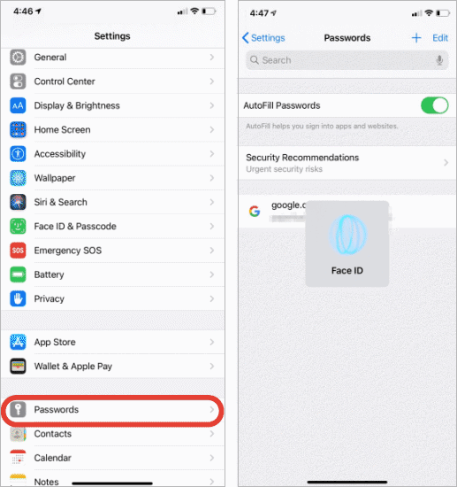 iPhone Password Settings