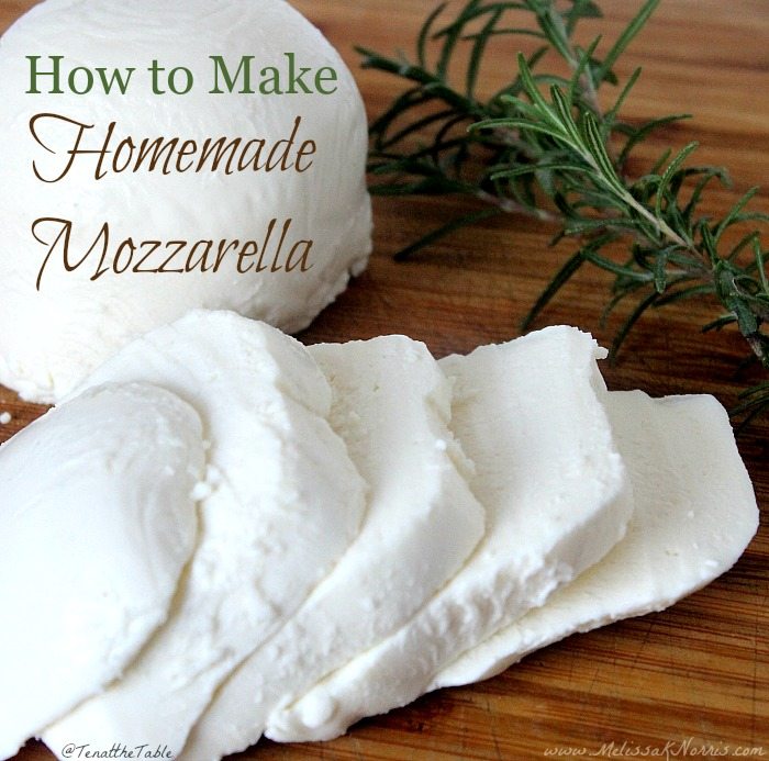 Making fresh mozzarella cheese