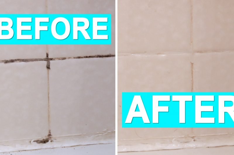 Effective mold removal techniques